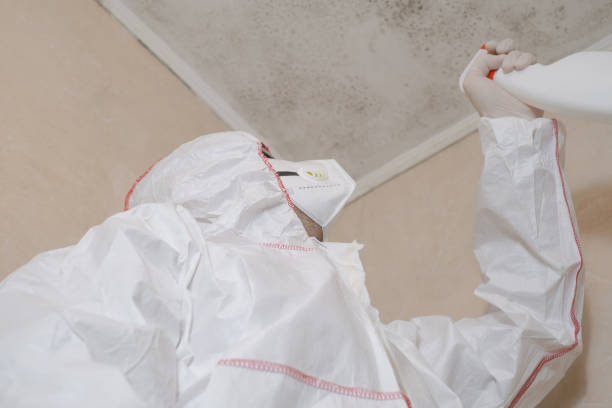 Best Water Damage & Mold Remediation  in Combe, LA